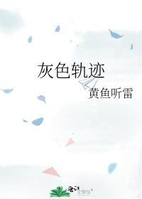灰色轨迹这首歌表达什么意思