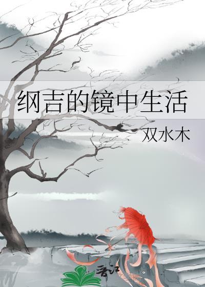 沢田纲吉的镜中生活