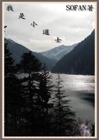 我想我是道士