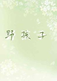 野孩子美娱 无防盗