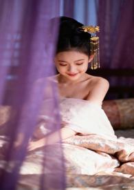 满朝文武皆为帐中客楚淮瑶