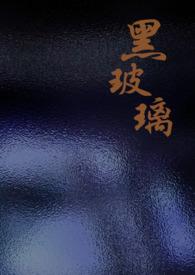 黑波利熊仓鼠