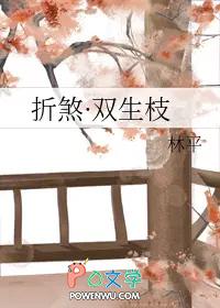折枝 双