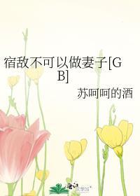 宿敌有恋人的意思吗