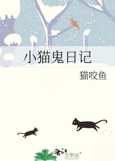 小猫日记讲述的什么