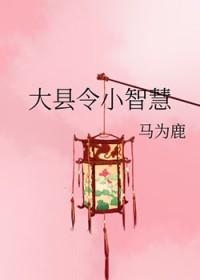 大县令小仵作2k网