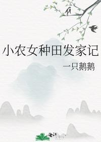 小农女种田发家记一只鹅鹅笔趣阁