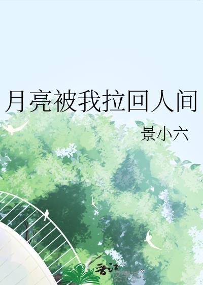 也被月亮照亮过