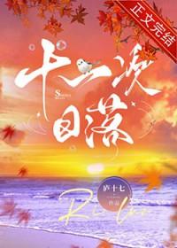 十一次日落by庐十七简介