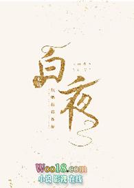 白夜重生原著