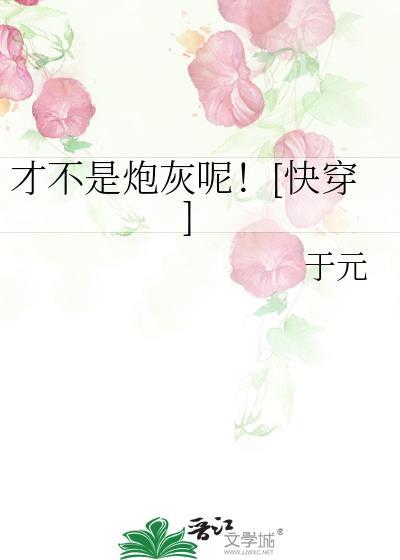 我才不是炮灰攻宝书网