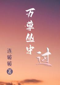 万草丛中一只猫txt微盘