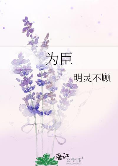 为臣四术