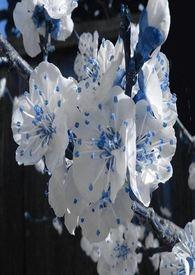 春秋航空取得无动力专利