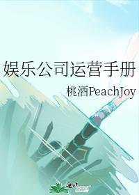 娱乐公司运营手册免费阅读