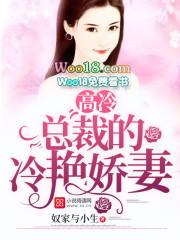 高冷总裁冷情妻