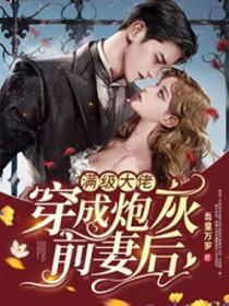 满级大佬穿成炮灰女配无弹窗