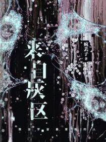 来自灰区 疯丢子txt