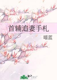 首辅追妻火葬场