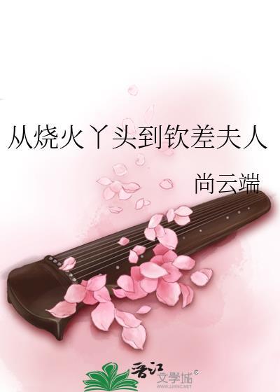 从烧火丫头到钦差夫人26