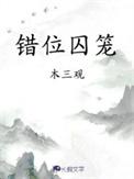 错位囚笼晋江