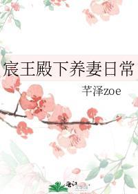 我的宸王殿下之意难平
