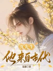 沈先生是什么