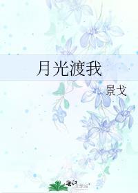 月光渡我 时衿傅宴辞
