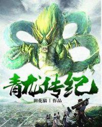 武四青龙传