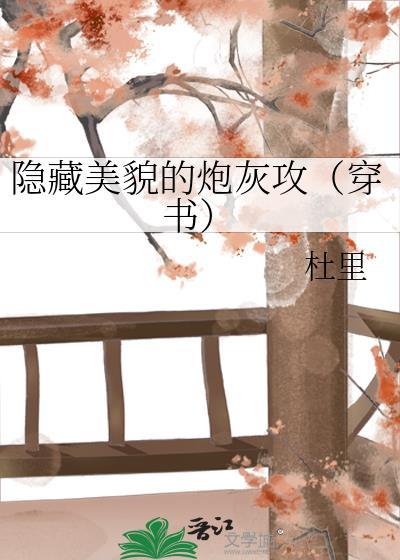 隐藏美貌的穿越
