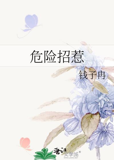 危险招惹by钱子冉晋江