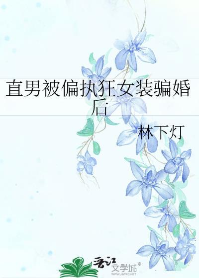 被直男骗了