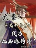 大秦开局炸丹炉