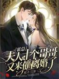 夫人的十个哥哥又来催离婚了 红十三