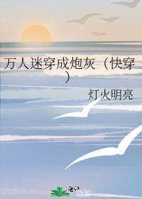 万人迷穿越成炮灰之后