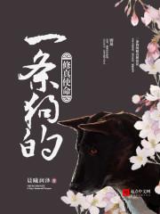 一条狗的使命[国语版