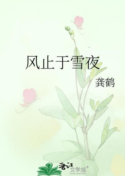 风止于雪夜 作者龚鹤