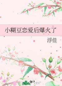 小糊剧是什么意思