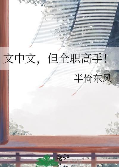 全职高手是什么文