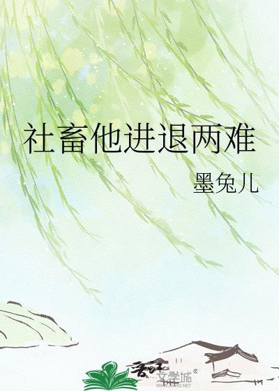 社畜真的太难了