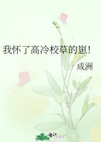 大佬们在替身行业疯狂内卷免费