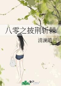 八零之披荆斩棘清澜皓月晋江