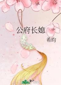 公府嫡长媳
