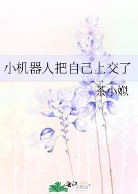 小机器人把自己上交给国家茶小娰