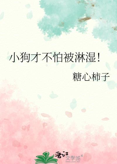 小狗才不怕被淋湿-一枝柿子