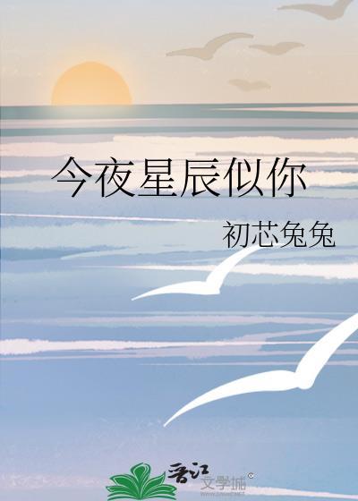 今夜星辰似你短剧免费观看