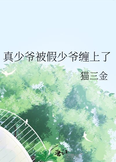 真少爷和假少爷在一起了