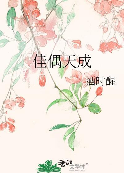 佳偶天成免费观看全集高清