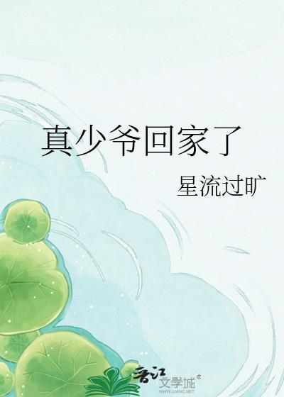 真少爷回家了免费阅读全文
