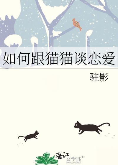 怎么和猫猫相处
